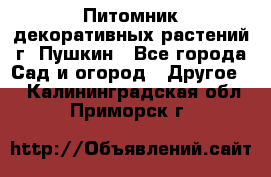 Питомник декоративных растений г. Пушкин - Все города Сад и огород » Другое   . Калининградская обл.,Приморск г.